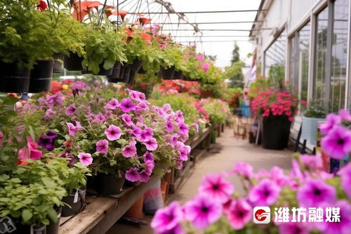 濰坊市再擔保集團落地首筆 花卉產業貸
