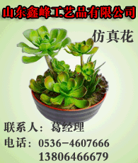 仿真花企業(yè)大全 仿真花企業(yè)大黃頁(yè) 仿真花生產(chǎn)商