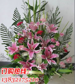鵲橋鮮花傳遞鮮花傳遞愛價格 鵲橋鮮花傳遞鮮花傳遞愛型號規(guī)格