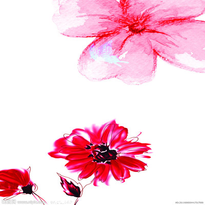 花卉設(shè)計圖__室內(nèi)設(shè)計_環(huán)境設(shè)計_設(shè)計圖庫
