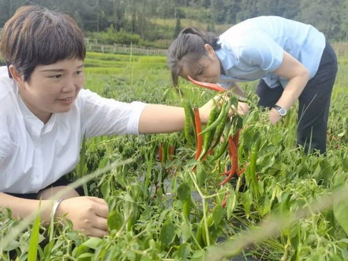 建行金融活水澆灌出的 火紅事業(yè)