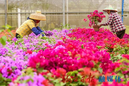 7個展區6座主題花園 ?？谌敲坊ㄕ?2日揭幕