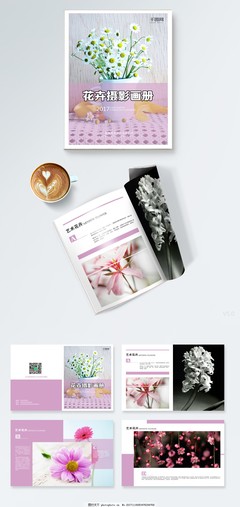 簡約藝術(shù)花卉攝影畫冊