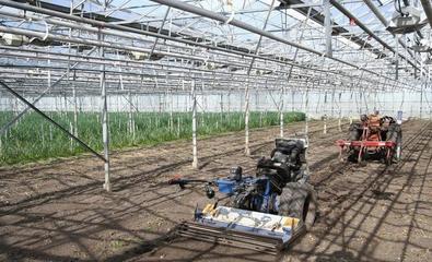 這些國家的植物工廠,已經(jīng)完全可以用智能機(jī)器人代替人工了!