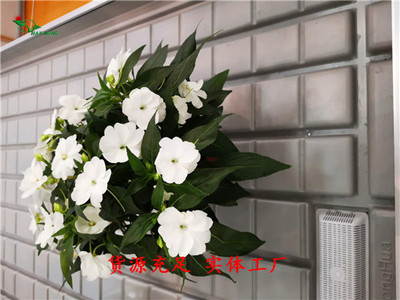 高效的農業灌溉技術-潮汐式花卉苗床 -產品介紹